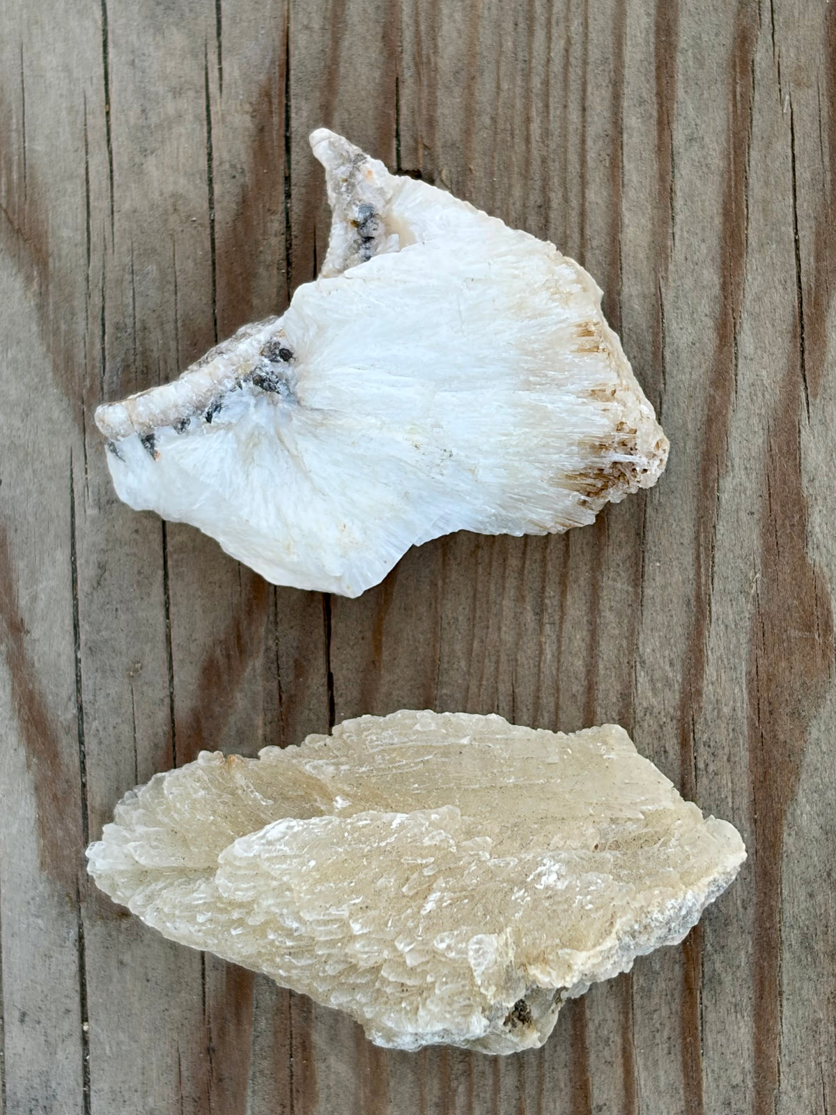 One-of-a-Kind Grounding Box | Vintage Sacred Cup Set