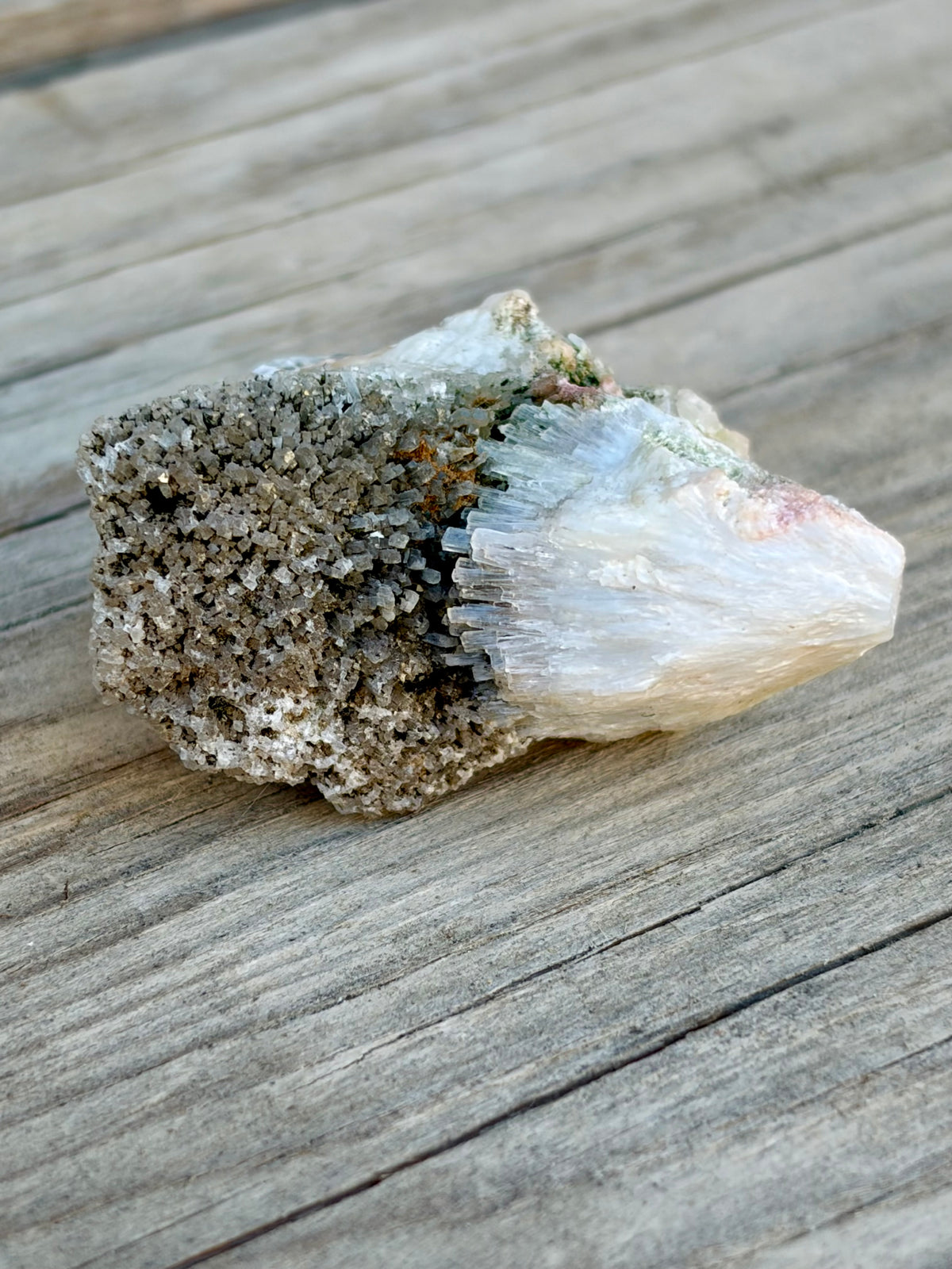 One-of-a-Kind Grounding Box | Vintage Ritual Dish Set (Style B)