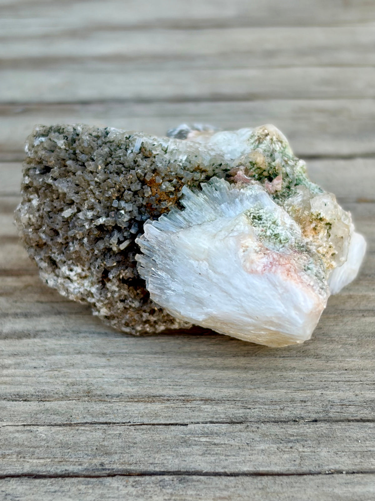 One-of-a-Kind Grounding Box | Vintage Ritual Dish Set (Style B)