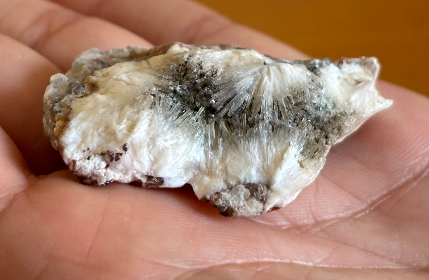 Wild Mediterranean Sage, Natrolite & Selenite Crystals - Grounding Ritual Box