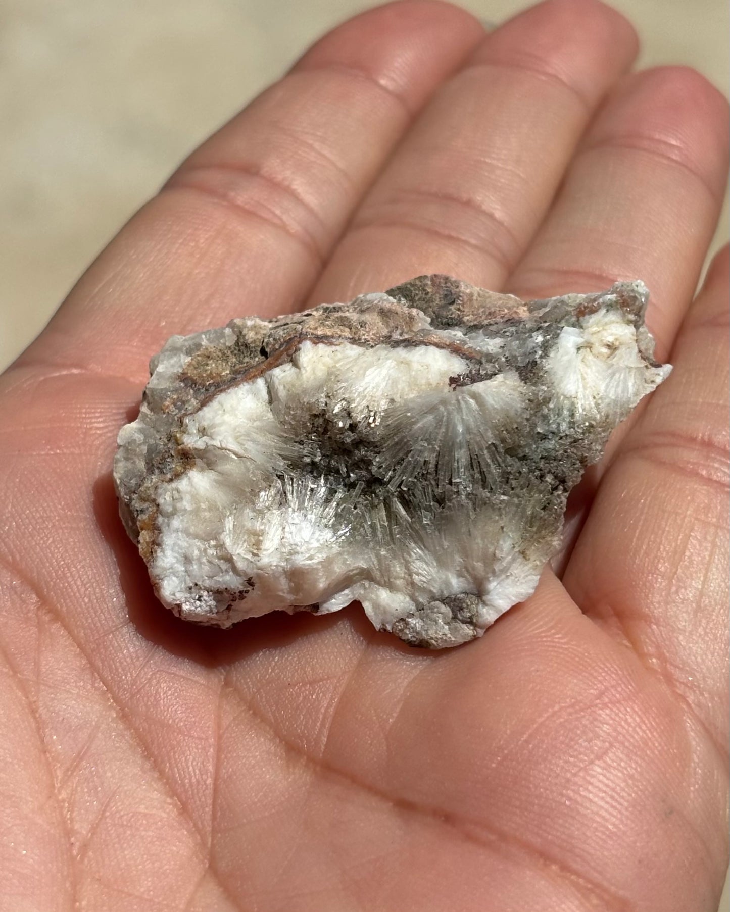 Wild Mediterranean Sage, Natrolite & Selenite Crystals - Grounding Ritual Box